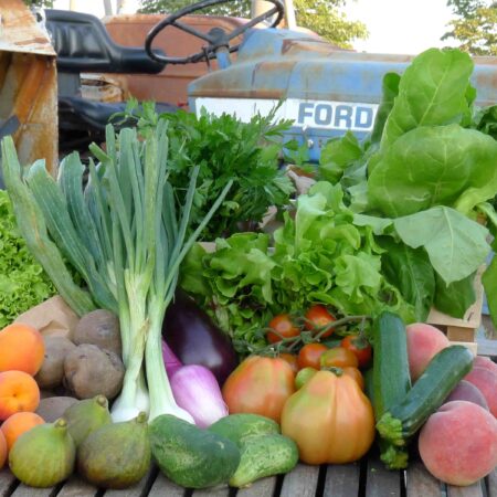 Cassetta della settimana